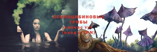 гидропоника Белоозёрский
